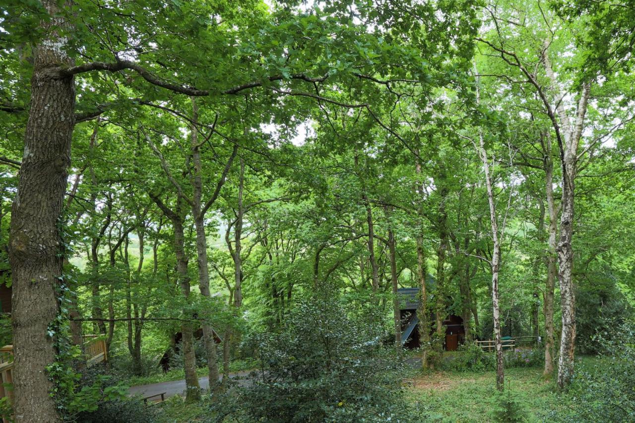Lodge Nine For 6 With Hot Tub - Spa Resort In Devon Chudleigh Zewnętrze zdjęcie